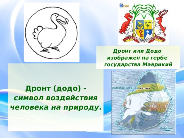 Дронт или Додо изображен на гербе государства Маврикий Дронт (додо) -  символ воздействия человека на природу .  
