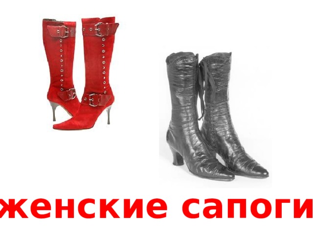 женские c апоги    