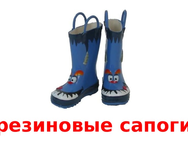 резиновые сапоги 