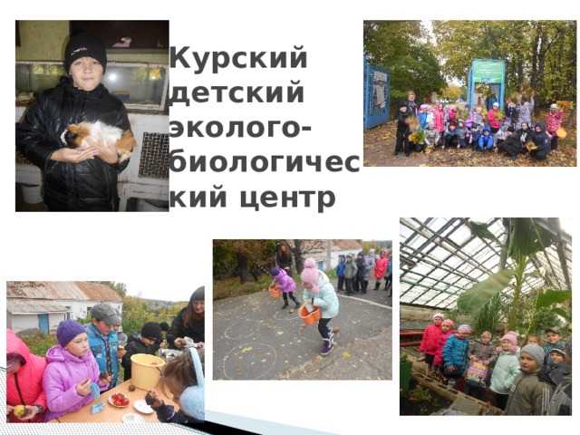 Курский детский эколого-биологический центр 