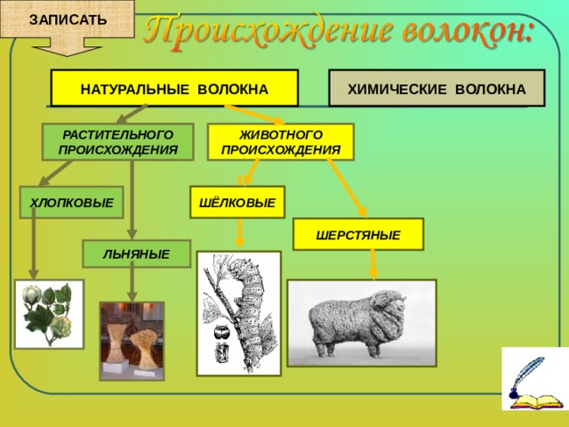 ЗАПИСАТЬ ХИМИЧЕСКИЕ ВОЛОКНА НАТУРАЛЬНЫЕ ВОЛОКНА ЖИВОТНОГО ПРОИСХОЖДЕНИЯ РАСТИТЕЛЬНОГО ПРОИСХОЖДЕНИЯ ШЁЛКОВЫЕ ХЛОПКОВЫЕ ШЕРСТЯНЫЕ ЛЬНЯНЫЕ 