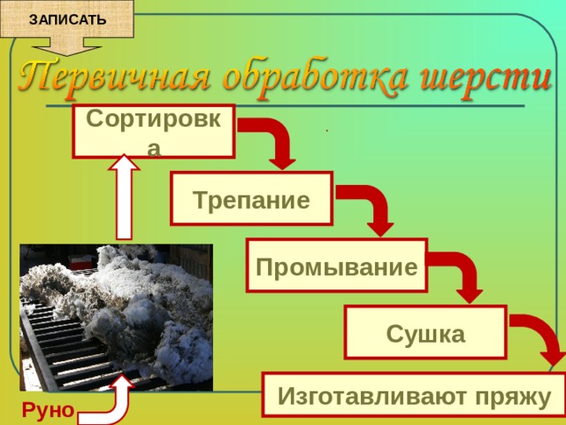  ЗАПИСАТЬ Сортировка . Трепание Промывание Сушка Изготавливают пряжу Руно 