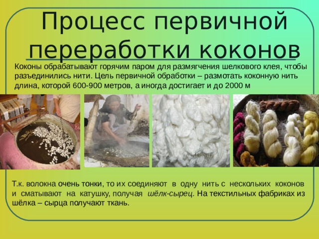 Процесс первичной переработки коконов Коконы обрабатывают горячим паром для размягчения шелкового клея, чтобы разъединились нити. Цель первичной обработки – размотать коконную нить длина, которой 600-900 метров, а иногда достигает и до 2000 м  Т.к. волокна очень тонки , то их соединяют в одну нить с нескольких коконов и сматывают на катушку, получая шёлк-сырец. На текстильных фабриках из шёлка – сырца получают ткань. 