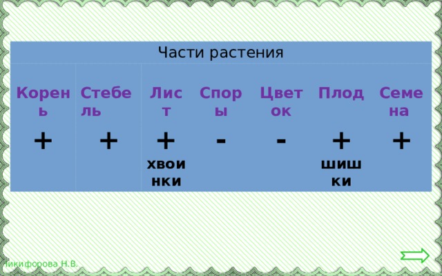 Части растения  + Корень  Стебель  + Лист  + хвоинки -  Споры  - Цветок Плод  + шишки + Семена 