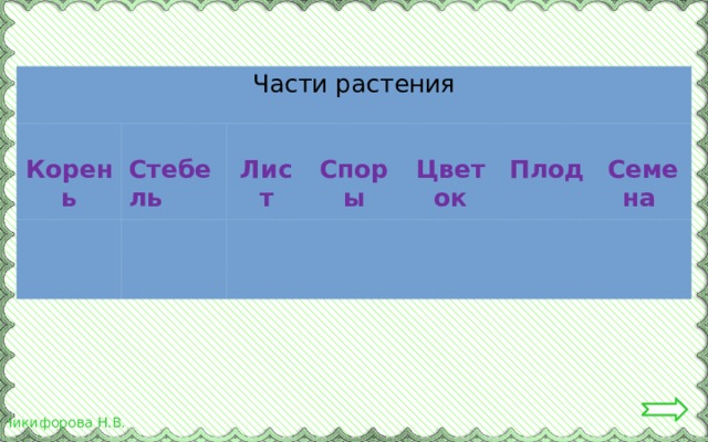 Части растения  Корень  Стебель  Лист  Споры  Цветок  Плод  Семена 