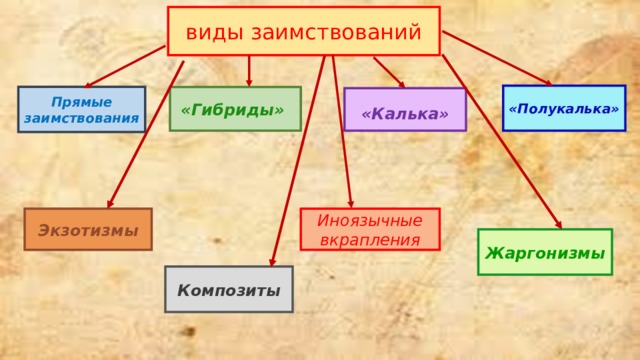 виды  заимствований «Полукалька» «Гибриды» Прямые заимствования  «Калька»  Экзотизмы Иноязычные вкрапления Жаргонизмы Композиты 