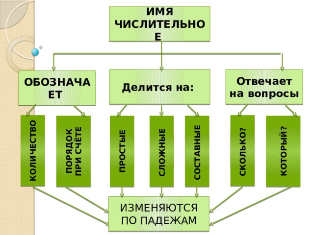 Картинки ФУНКЦИЯ ИМЕНИ ЧИСЛИТЕЛЬНОГО