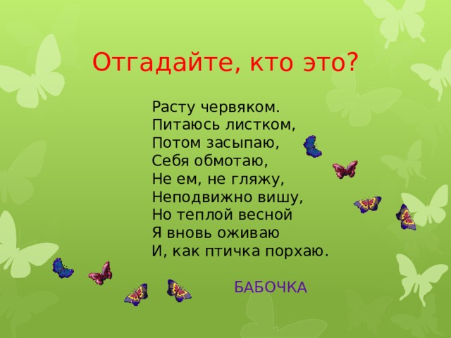  Отгадайте, кто это? Расту червяком.   Питаюсь листком,  Потом засыпаю,   Себя обмотаю,   Не ем, не гляжу,  Неподвижно вишу,  Но теплой весной  Я вновь оживаю  И, как птичка порхаю.  БАБОЧКА 