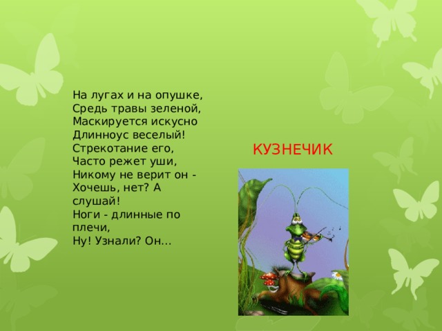 На лугах и на опушке,  Средь травы зеленой,  Маскируется искусно  Длинноус веселый!  Стрекотание его,  Часто режет уши,  Никому не верит он -  Хочешь, нет? А слушай!  Ноги - длинные по плечи,  Ну! Узнали? Он...  КУЗНЕЧИК 