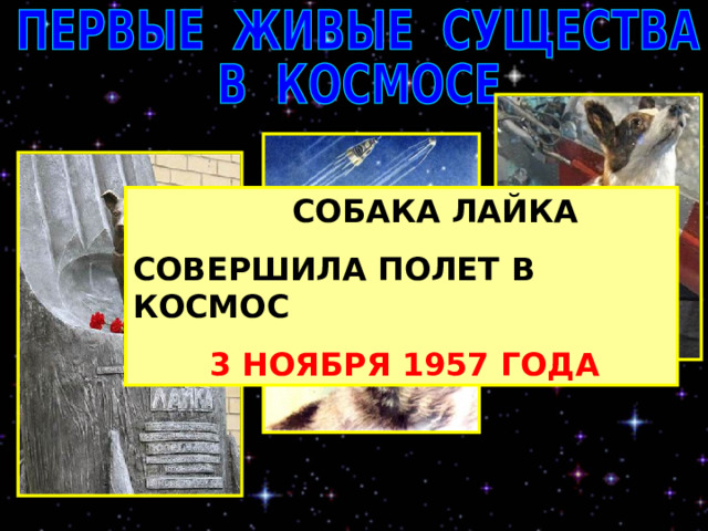  СОБАКА ЛАЙКА СОВЕРШИЛА ПОЛЕТ  В КОСМОС  3 НОЯБРЯ 1957 ГОДА 