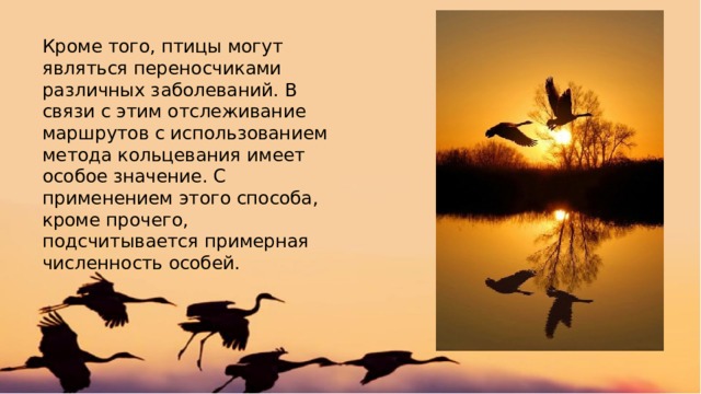 Кроме того, птицы могут являться переносчиками различных заболеваний. В связи с этим отслеживание маршрутов с использованием метода кольцевания имеет особое значение. С применением этого способа, кроме прочего, подсчитывается примерная численность особей. 