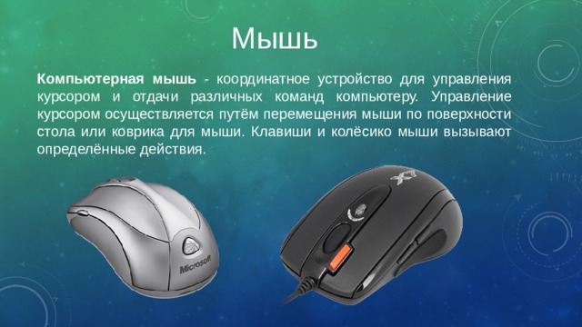 Мышь Компьютерная мышь - координатное устройство для управления курсором и отдачи различных команд компьютеру. Управление курсором осуществляется путём перемещения мыши по поверхности стола или коврика для мыши. Клавиши и колёсико мыши вызывают определённые действия. 