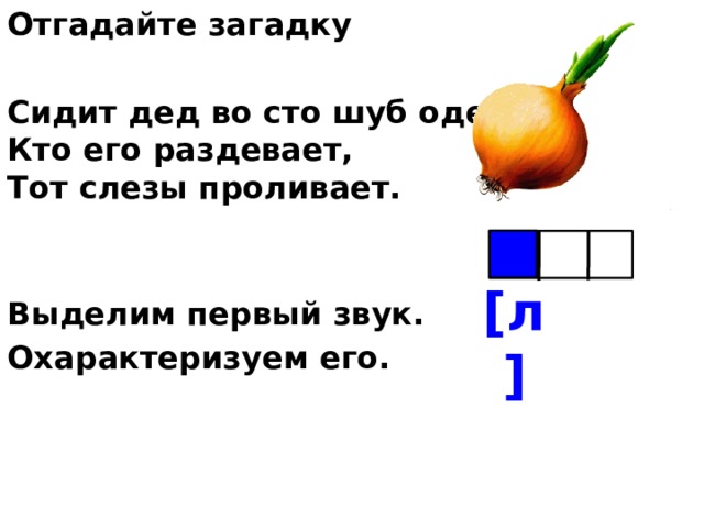 Кто ходит сидя загадка ответ. Сидит дед во СТО шуб загадки. Сидит дед во СТО шуб одет кто его раздевает тот слезы проливает. Первый звук. Рисунок к загадке сидит дед во СТО шуб одет.