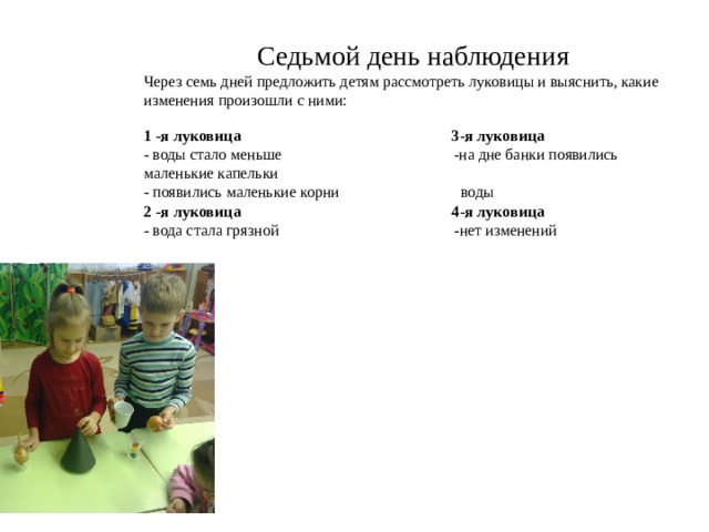 Седьмой день наблюдения Через семь дней предложить детям рассмотреть луковицы и выяснить, какие изменения произошли с ними: 1 -я луковица 3-я луковица - воды стало меньше -на дне банки появились маленькие капельки - появились маленькие корни воды 2 -я луковица 4-я луковица - вода стала грязной -нет изменений 