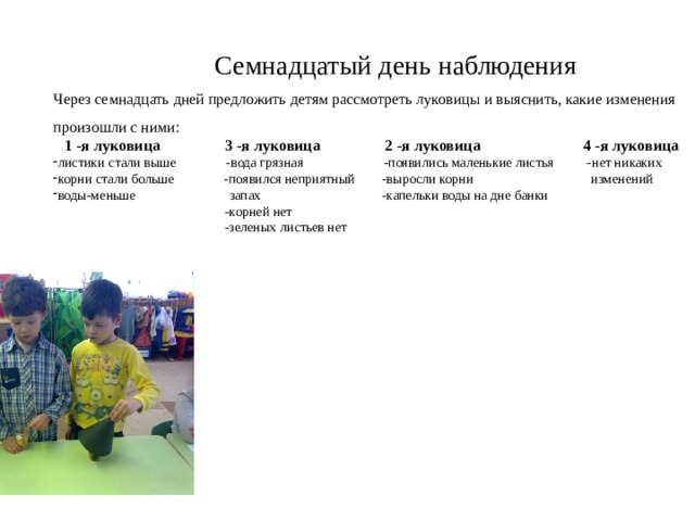  Семнадцатый день наблюдения Через семнадцать дней предложить детям рассмотреть луковицы и выяснить, какие изменения произошли с ними:  1 -я луковица 3 -я луковица 2 -я луковица 4 -я луковица листики стали выше -вода грязная -появились маленькие листья -нет никаких корни стали больше -появился неприятный -выросли корни изменений воды-меньше запах -капельки воды на дне банки  -корней нет  -зеленых листьев нет 