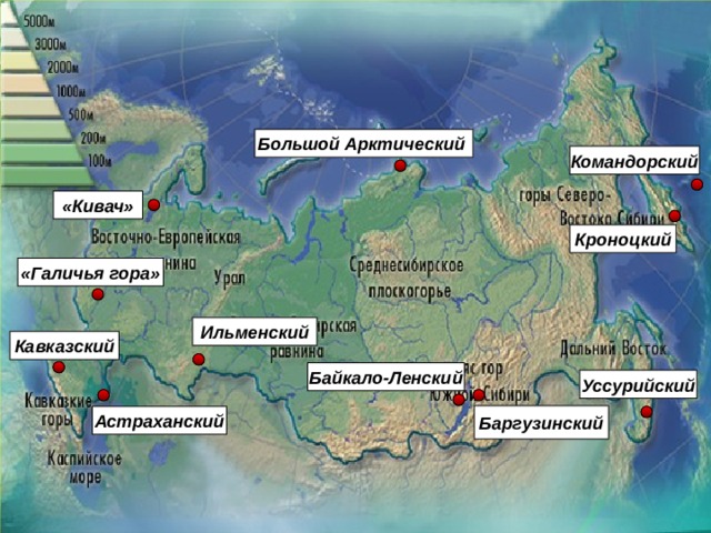 Заповедники россии задания. Крупные заповедники России. Крупнейшие заповедники. Карта заповедников России. Крупнейшие заповедники России на карте.