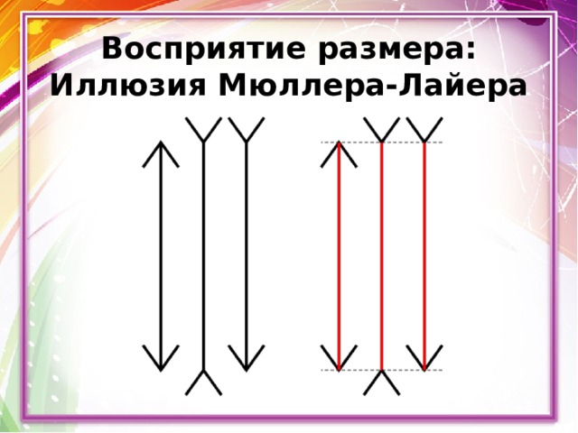 Восприятие размера:  Иллюзия Мюллера-Лайера 