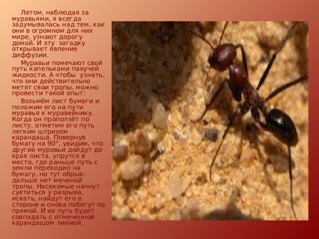 Летом, наблюдая за муравьями, я всегда задумывалась над тем, как они в огромном для них мире, узнают дорогу домой. И эту загадку открывает явление диффузии. Муравьи помечают свой путь капельками пахучей жидкости. А чтобы узнать, что они действительно метят свои тропы, можно провести такой опыт: Возьмём лист бумаги и положим его на пути муравья к муравейнику. Когда он проползёт по листу, отметим его путь легким штрихом карандаша. Повернув бумагу на 90°, увидим, что другие муравьи дойдут до края листа, упрутся в место, где раньше путь с земли переходил на бумагу, но тут обрыв: дальше нет меченой тропы. Насекомые начнут суетиться у разрыва, искать, найдут его в стороне и снова побегут по прямой. И их путь будет совпадать с отмеченной карандашом линией. 