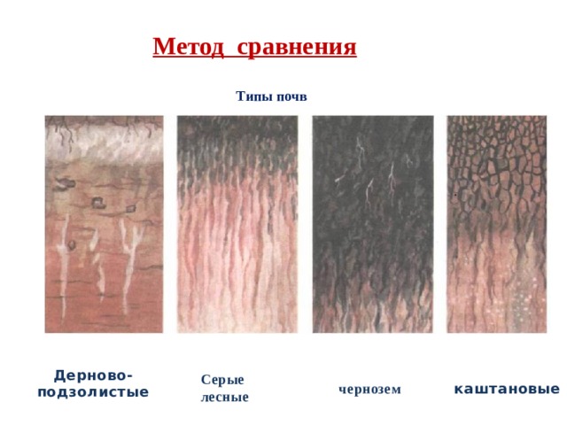 Метод сравнения Типы почв Дерново- подзолистые Серые  лесные чернозем каштановые 