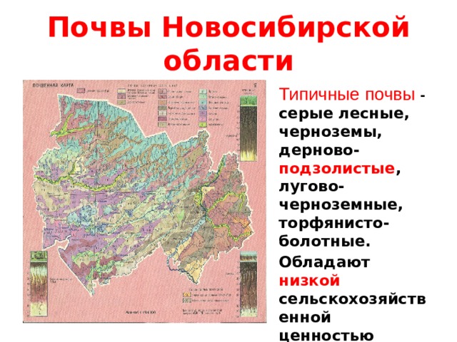 Карта почв новосибирской области