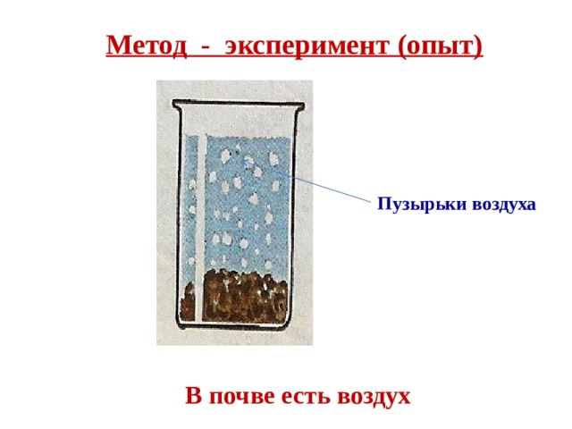 Метод - эксперимент (опыт) Пузырьки воздуха В почве есть воздух 