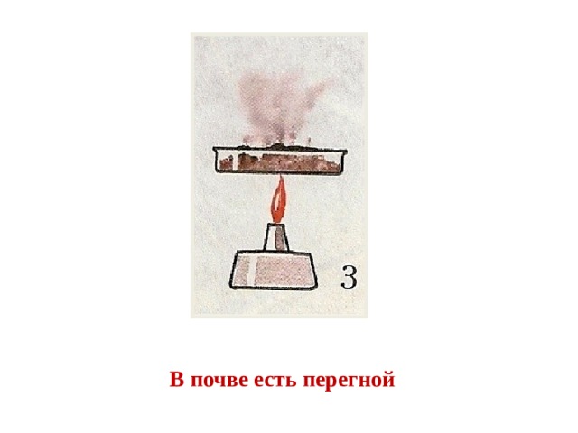 В почве есть перегной 