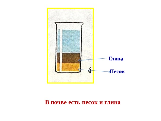 Глина Песок В почве есть песок и глина 