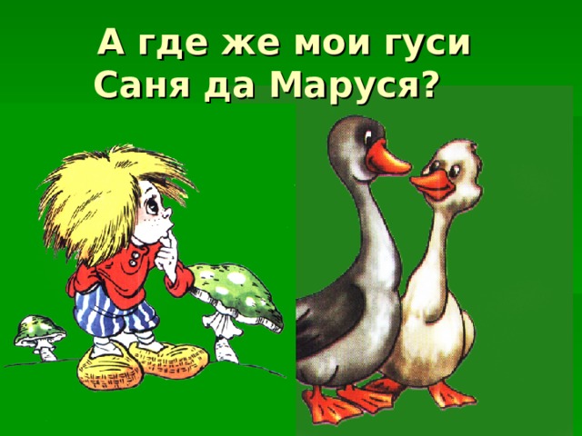 Гуси мои гуси