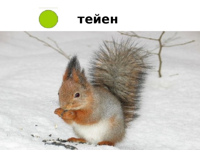 тейен 