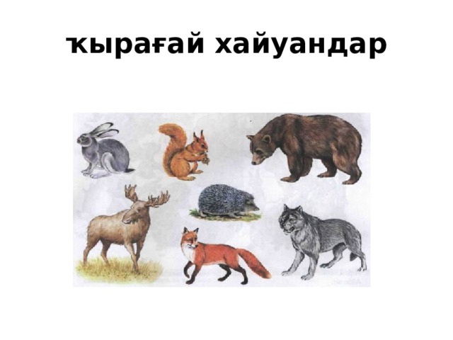 ҡырағай хайуандар 