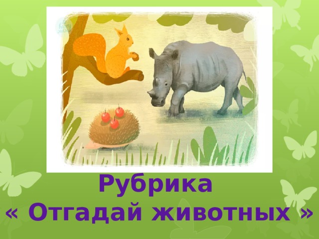 Рубрика « Отгадай животных » 