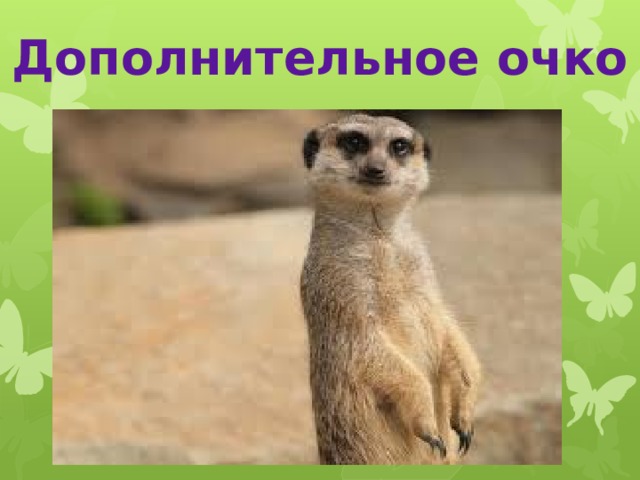 Дополнительное очко 