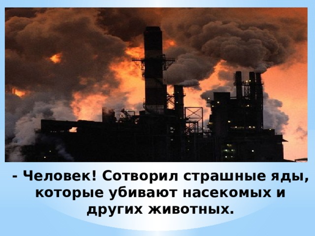- Человек! Сотворил страшные яды, которые убивают насекомых и других животных. 