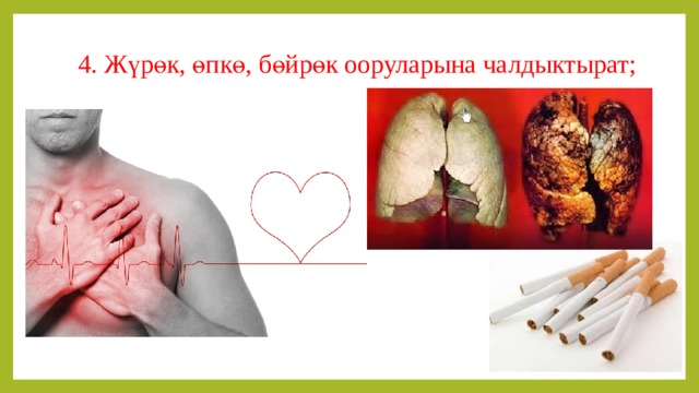 4. Жүрөк, өпкө, бөйрөк ооруларына чалдыктырат; 