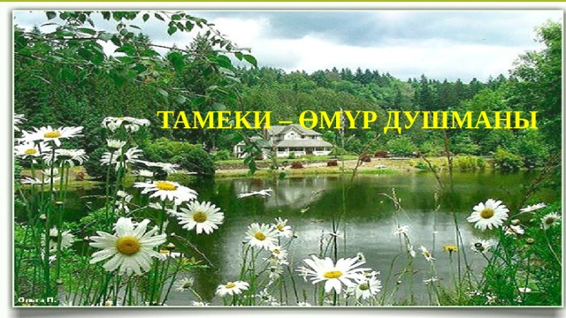 ТАМЕКИ – ӨМҮР ДУШМАНЫ 