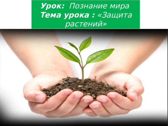 Урок: Познание мира Тема урока : «Защита растений» 