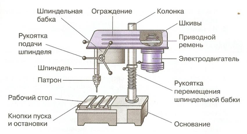 Для какой цели служат прорези в столе сверлильного станка технология 6 класс