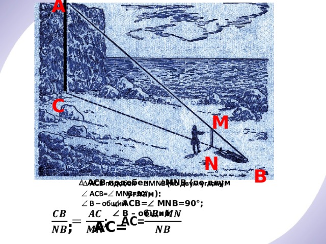 A   C M N B    АCB подобен  MNB (по двум углам):      ACB=  MNB=90°;    В – общий ; AC= 