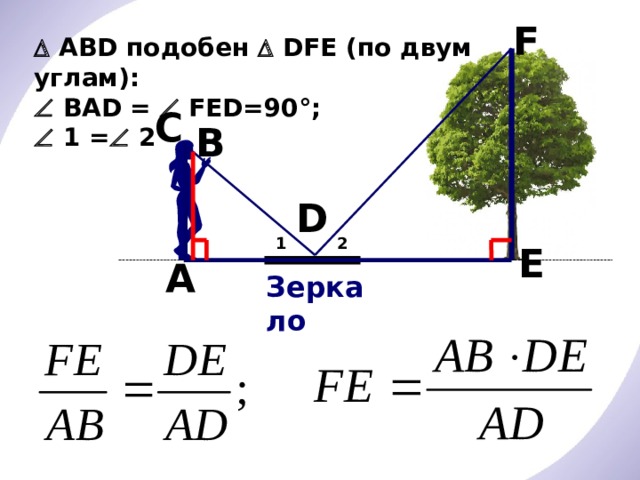F   АВD подобен  DFE (по двум углам):   ВАD =  FED=90°;   1 =  2 С В D 2 1 E А Зеркало 