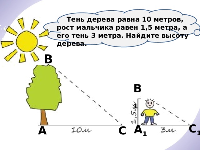  Тень дерева равна 10 метров, рост мальчика равен 1,5 метра, а его тень 3 метра. Найдите высоту дерева. В В 1 С 1 А 1 А С 