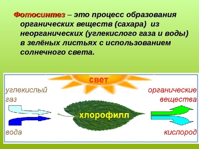 Источник углекислого газа в фотосинтезе