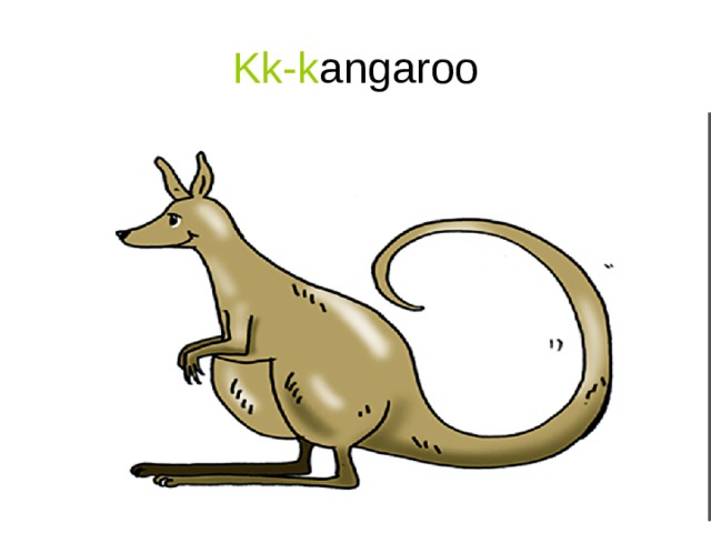 Kk-k angaroo 