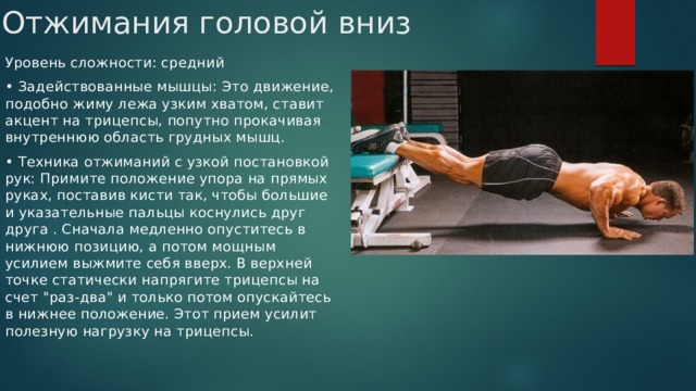 �������� ���������� �������� ����������: ����.