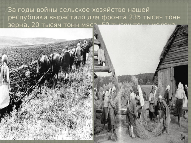 За годы войны сельское хозяйство нашей республики вырастило для фронта 235 тысяч тонн зерна, 20 тысяч тонн мяса, 50 тысяч тонн молока. 