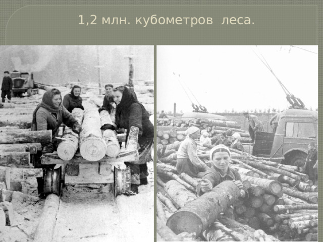 1,2 млн. кубометров леса.   