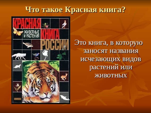 Проект 5 класса красная книга