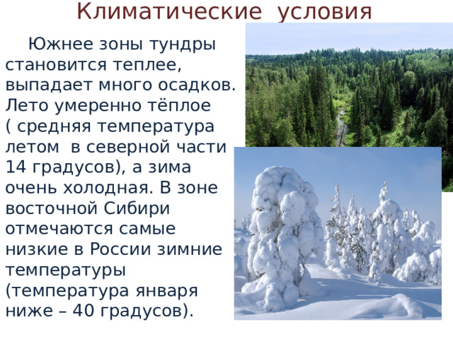 Климатические условия  Южнее зоны тундры становится теплее, выпадает много осадков. Лето умеренно тёплое ( средняя температура летом в северной части 14 градусов), а зима очень холодная. В зоне восточной Сибири отмечаются самые низкие в России зимние температуры (температура января ниже – 40 градусов). 