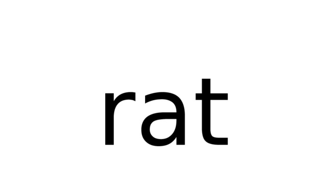 rat 