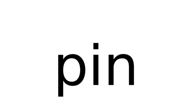 pin 