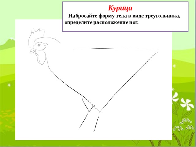  Курица Набросайте форму тела в виде треугольника, определите расположение ног.   
